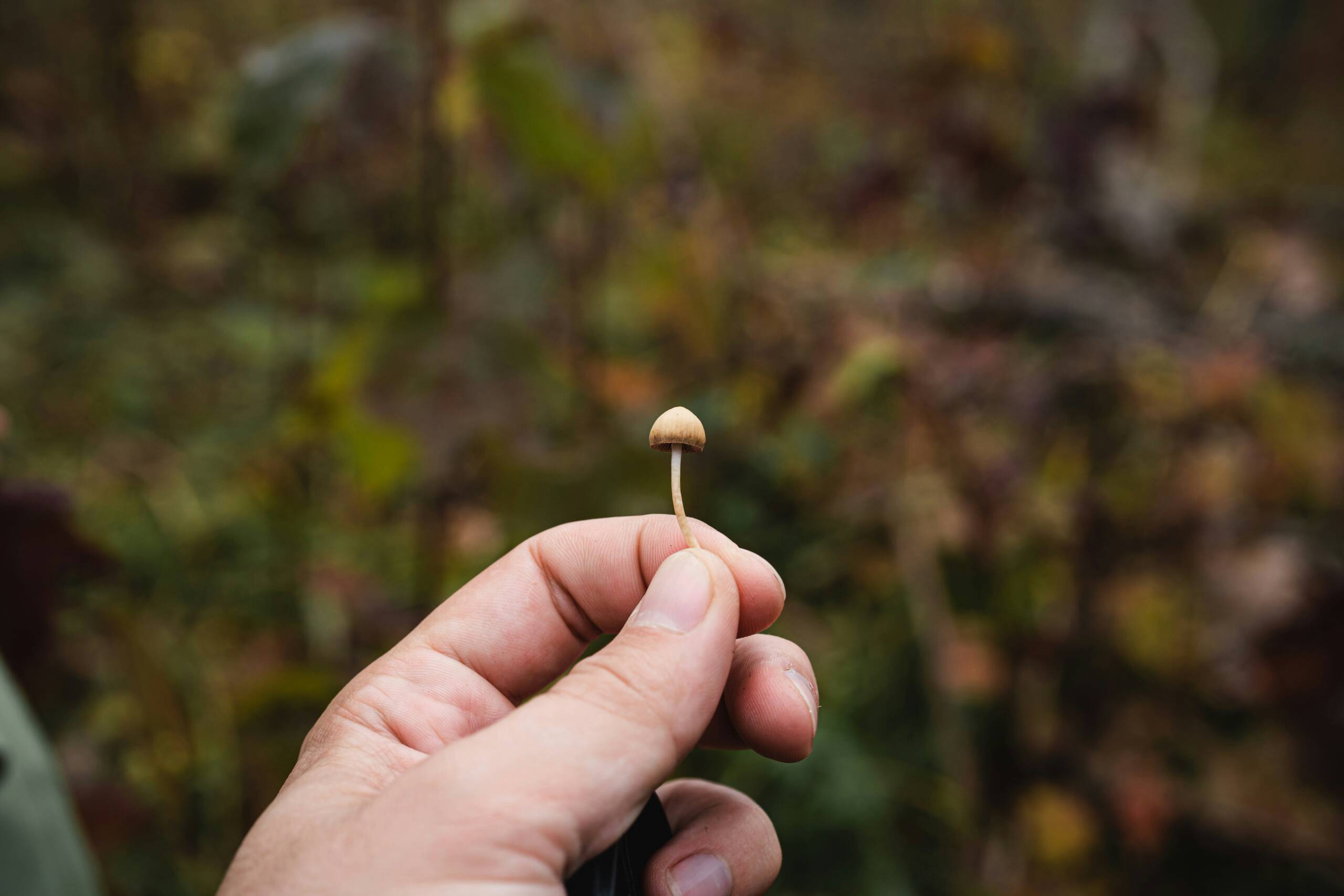 Psychedelic-Assisted Therapy