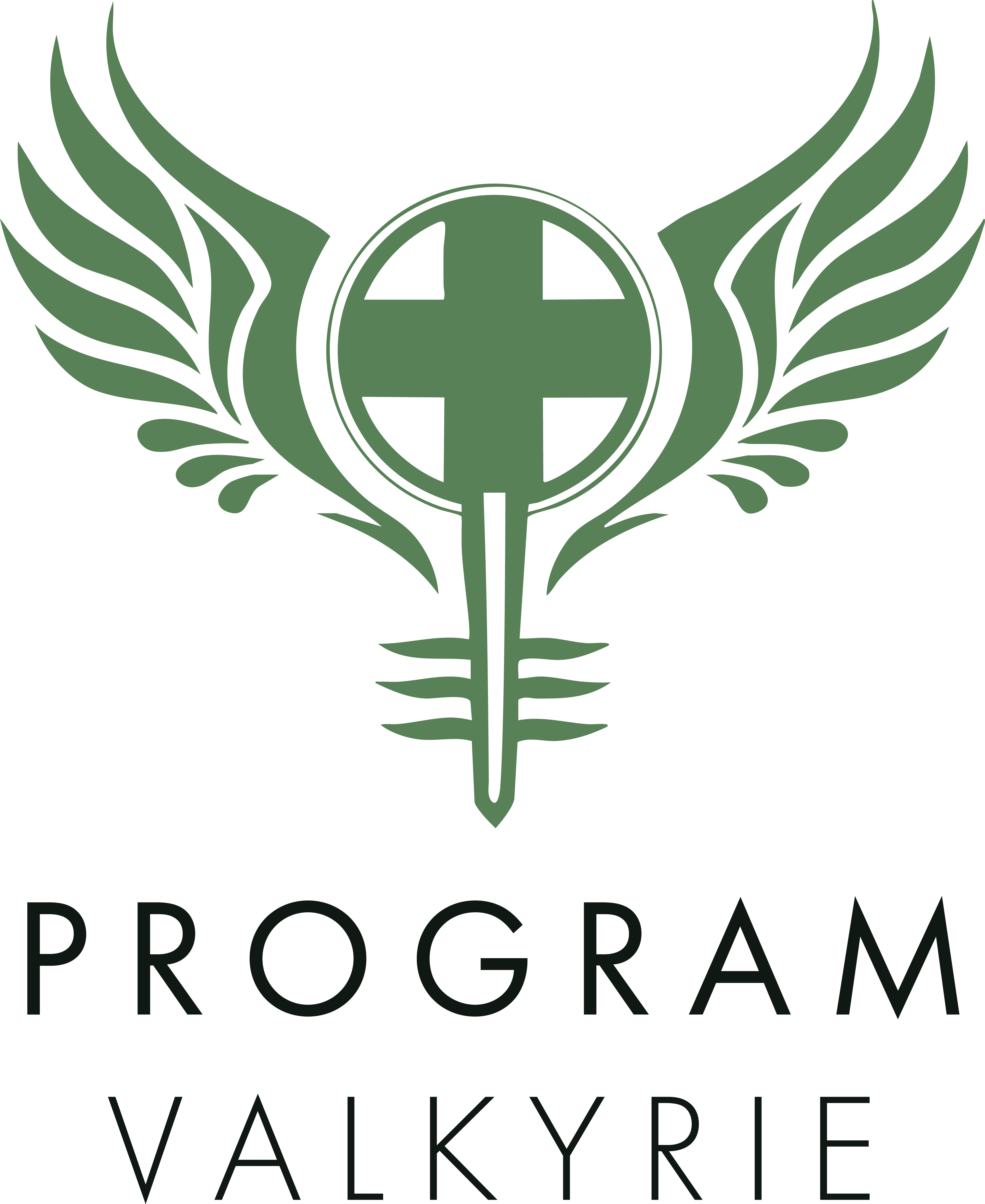 Program Valkyrie